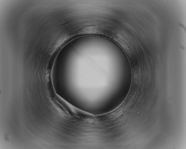 X0000097630160200802291349