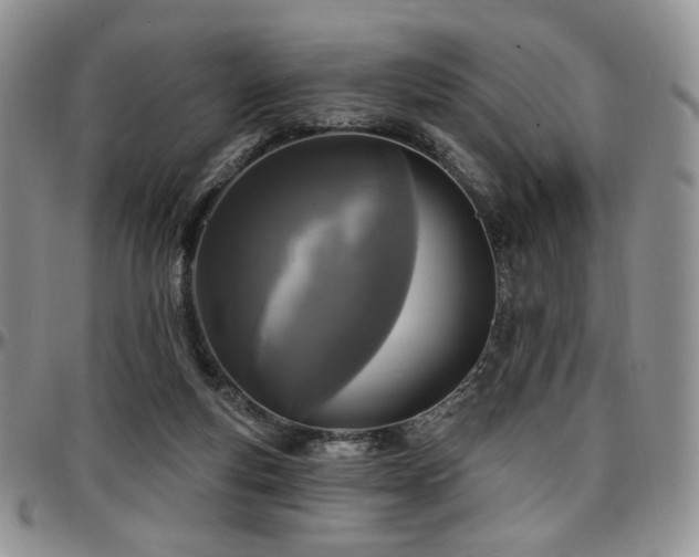 X0000097630163200802291349