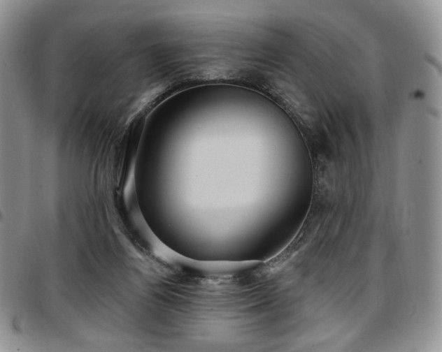 X0000097630164200802291349