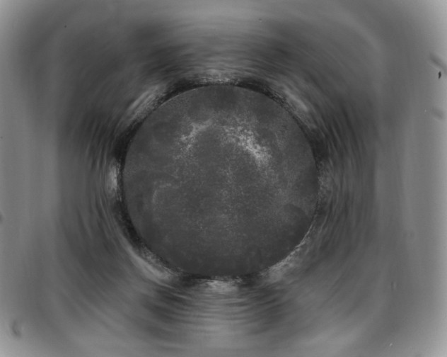 X0000097630166200802291349