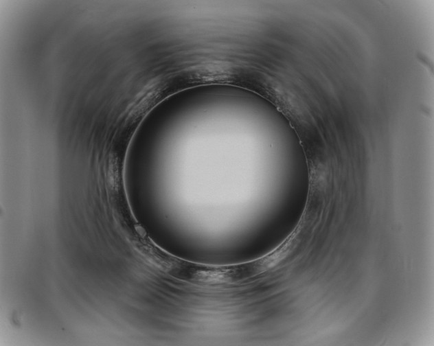 X0000097630170200802291349