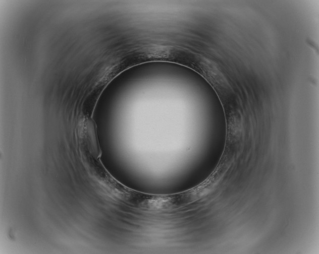 X0000097630172200802291349