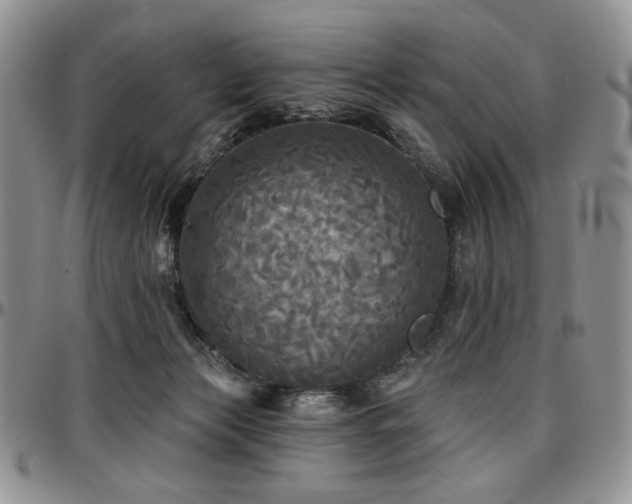 X0000097630173200802291349