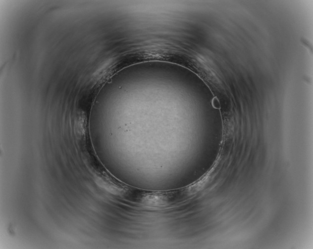 X0000097630174200802291349