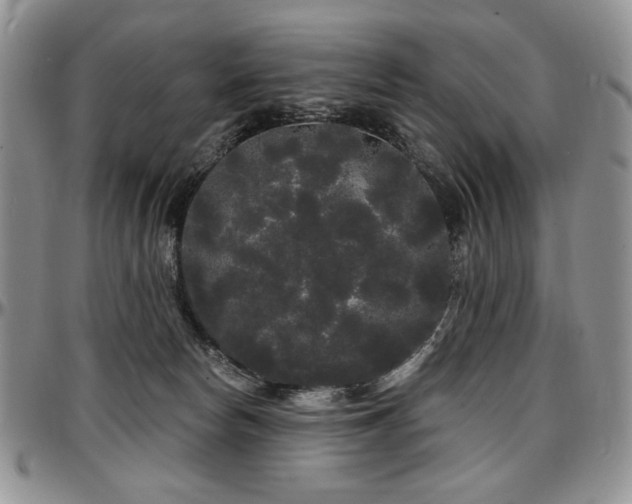 X0000097630178200802291349