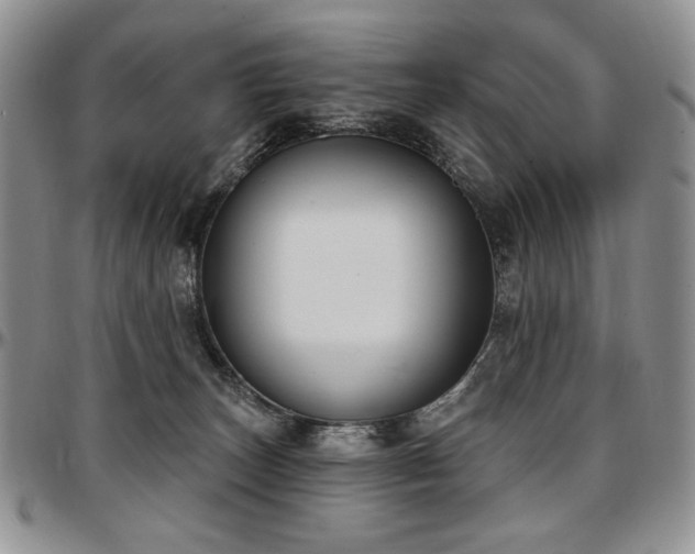 X0000097630179200802291349