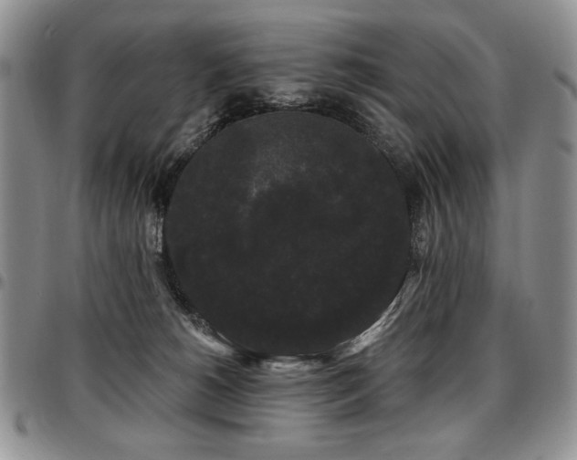 X0000097630180200802291349