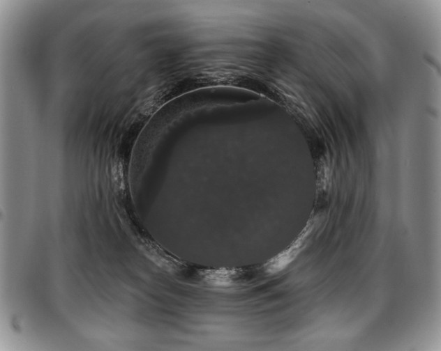 X0000097630182200802291349