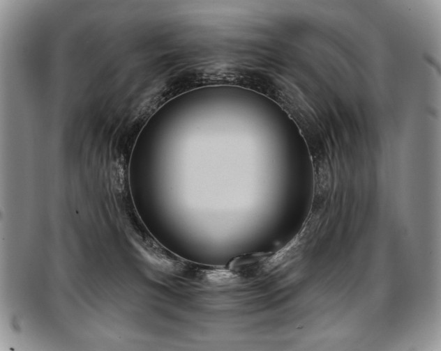 X0000097630183200802291349