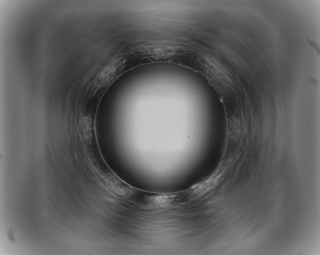 X0000097630184200802291349