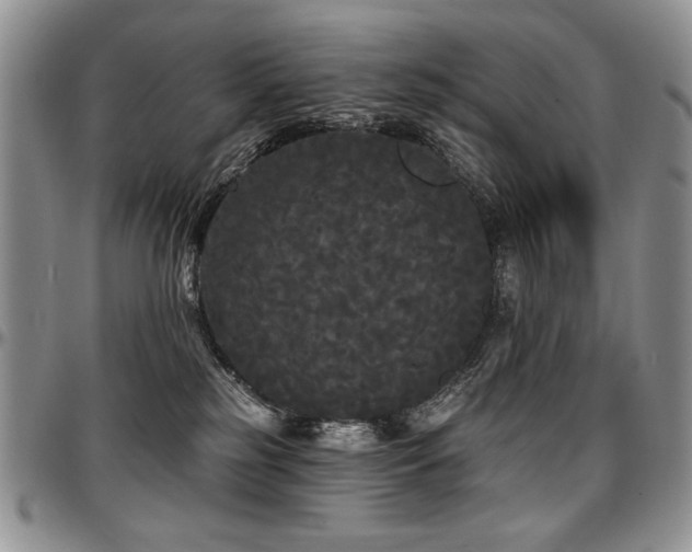 X0000097630185200802291349