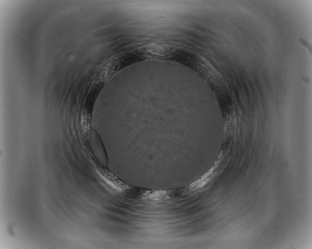 X0000097630186200802291349