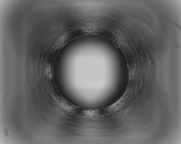 X0000097630187200802291349