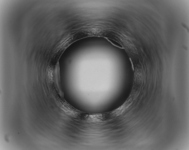 X0000097630188200802291349