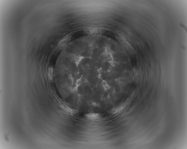 X0000097630189200802291349