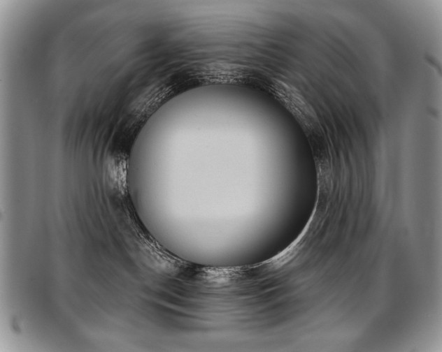 X0000097630190200802291349