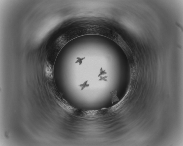 X0000097630191200802291349