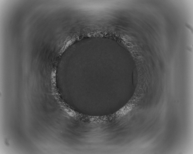 X0000097630192200802291349