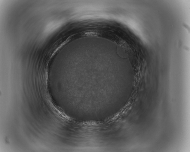 X0000097630194200802291348