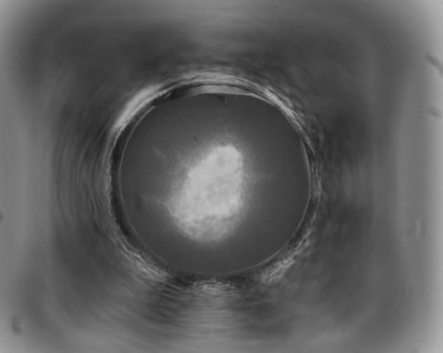 X0000097630199200802291348