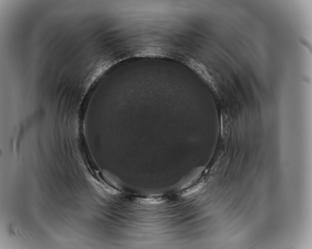 X0000097630204200802291348