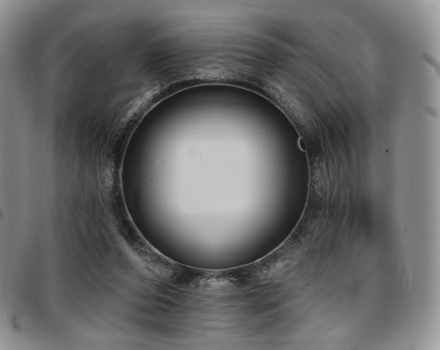 X0000097630208200802291348