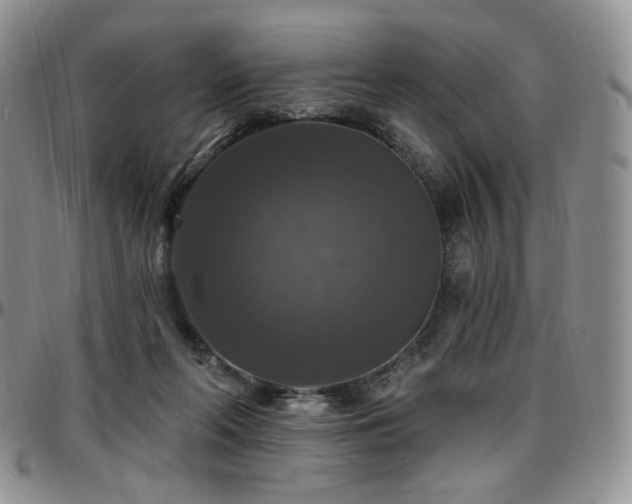 X0000097630214200802291348