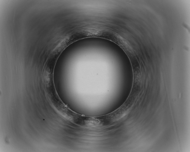 X0000097630215200802291348