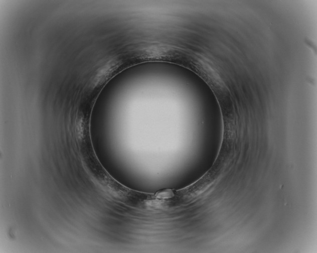 X0000097630216200802291348