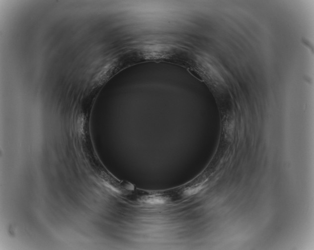 X0000097630219200802291348