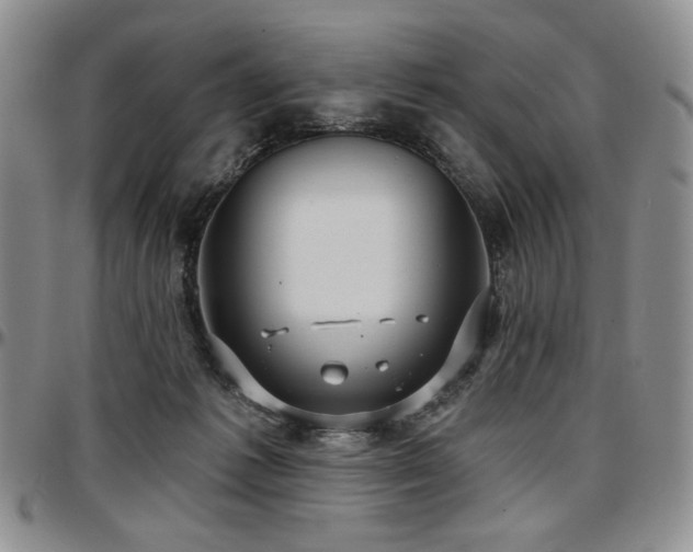 X0000097630221200802291348