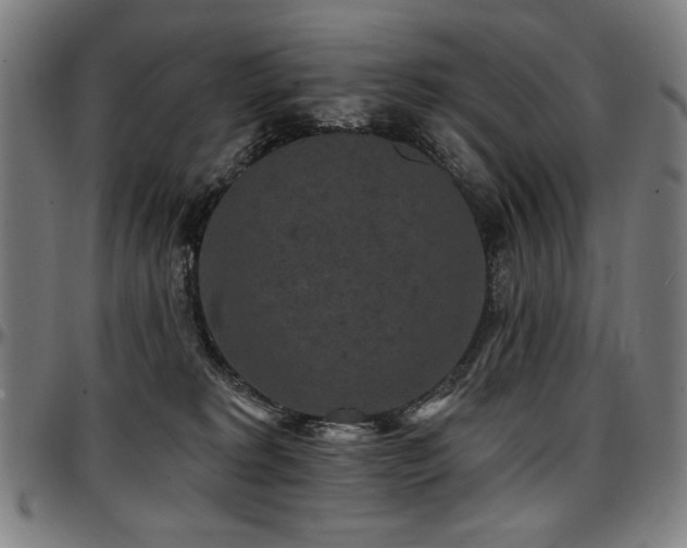 X0000097630229200802291348