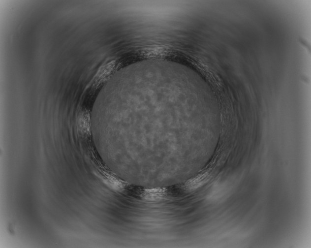 X0000097630240200802291348