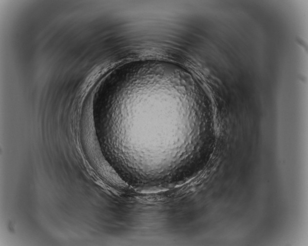 X0000097630241200802291347