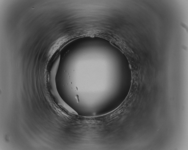 X0000097630242200802291347