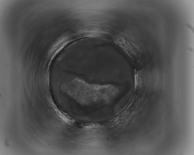 X0000097630243200802291347