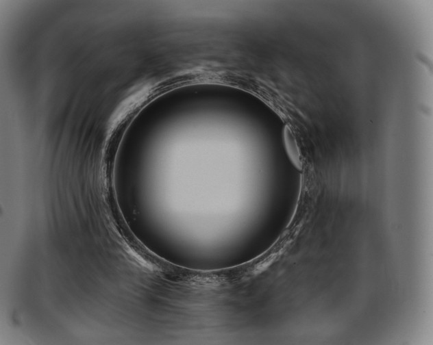X0000097630245200802291347