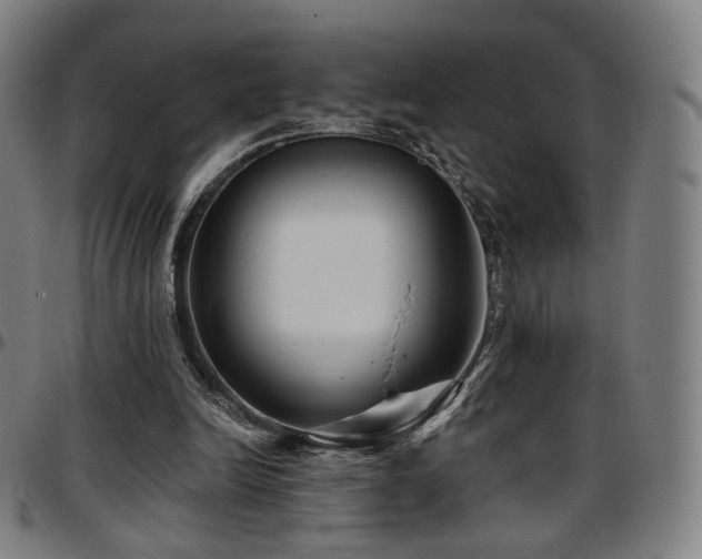 X0000097630246200802291347