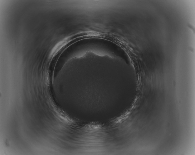 X0000097630247200802291347