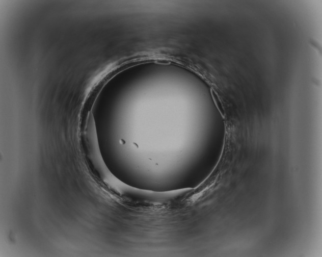 X0000097630248200802291347