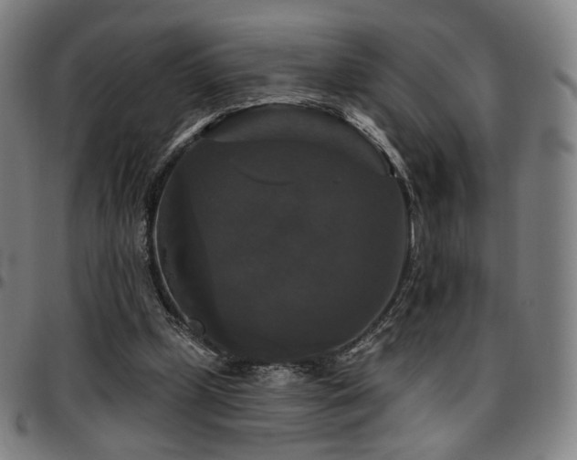 X0000097630249200802291347