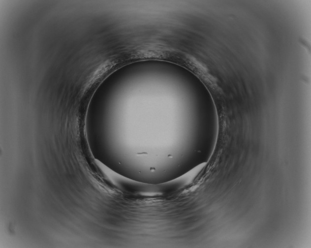X0000097630250200802291347