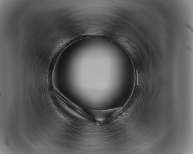 X0000097630252200802291347