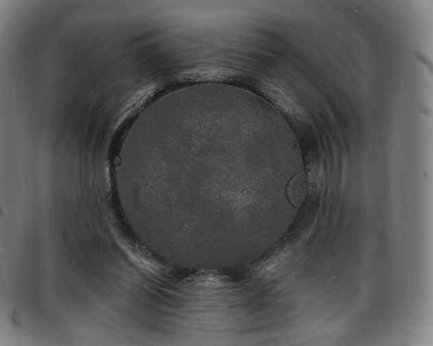 X0000097630254200802291347