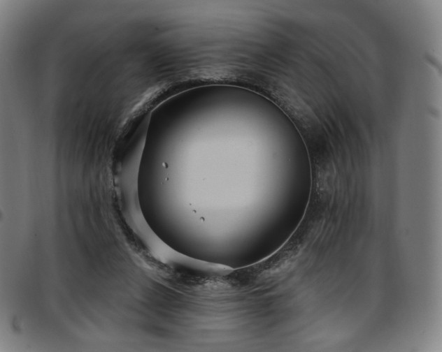 X0000097630256200802291347