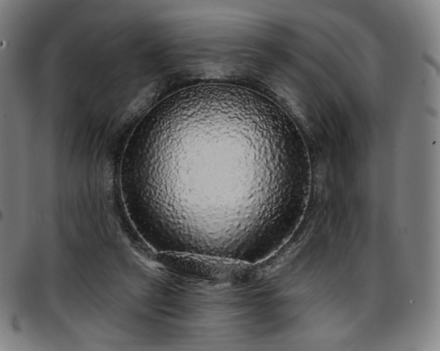 X0000097630257200802291347