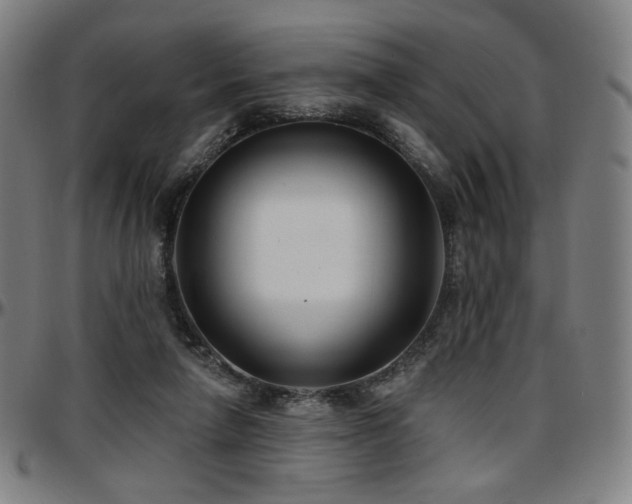 X0000097630258200802291347