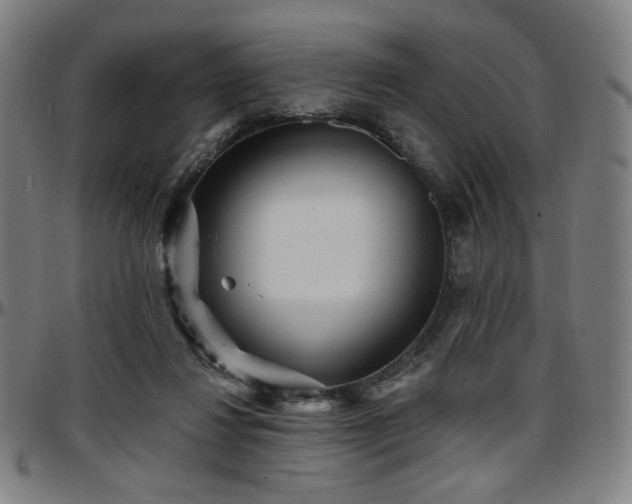X0000097630260200802291347