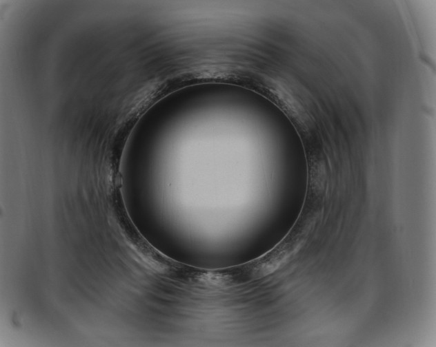 X0000097630261200802291347