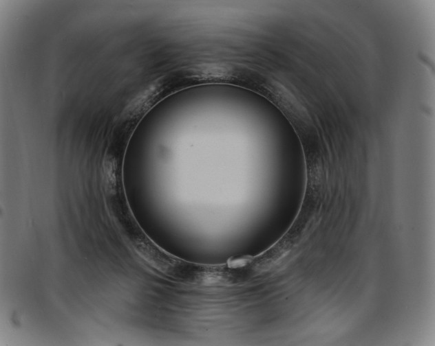 X0000097630264200802291347